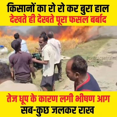 देखते ही देखते पूरा लगा हुआ फसल बर्बाद, आग लगने से जलकर राख गेंहू की फसल....
#genhu #aag #biharnews #fasal #kisan #Biha...