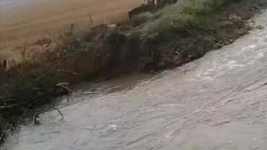 सिरसा: अबूबशहर के पास तेजाखेड़ा माइनर टूटी, साठ एकड़ फसल जलमग्न, किसानों ने मुआवजे की मांग की