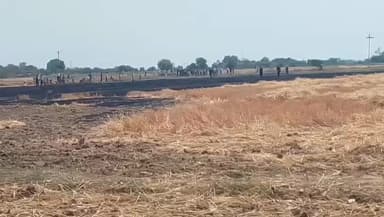 माधौगढ़: पिचौरा गांव में अज्ञात कारणों से खेतों में लगी आग, अर्ध फसल जलकर हुई राख