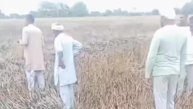 जींद: जींद में किसान की तीन एकड़ फसल जलकर राख