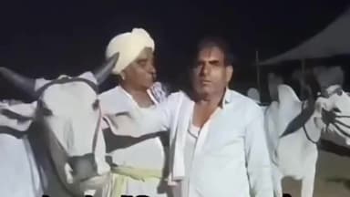 मेड़ता: मेड़ता के पशु मेले में नागौरी नस्ल का बैल ₹1 लाख 25 हजार में बिका