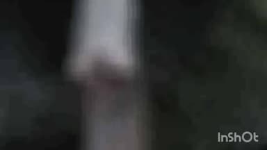 एटा: निधौली खुर्द और गंगनपुर के खेतों के बीच फांसी के फंदे पर लटकता मिला 19 वर्षीय युवक का शव