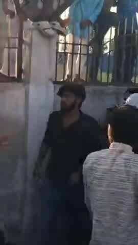 करछना: जेल रोड के पास सफारी सवार लोगों ने बाइक सवार छात्र को जमकर मारा-पीटा, वीडियो आया सामने