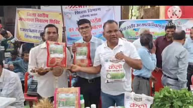 उदयपुर धरमजयगढ़: लैलूंगा की पहचान बना 'केलो' जैविक जंवाफूल चावल