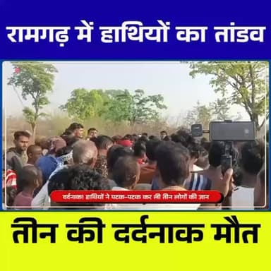 Ramgad में हाथियों ने मचाया तांडव, तीन को पटक-पटक के मार डाला!
#Ramgarh #JharkhandNews #ElephantAttack #BreakingNews #...
