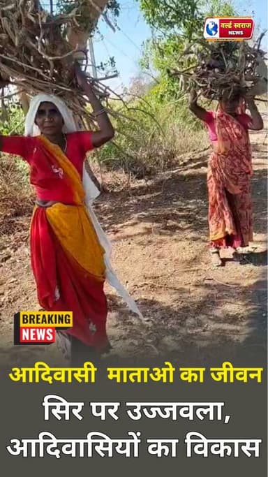 आदिवासी माताओ का जीवन का संघर्ष क्या यही विकास है #वायरल #reels #viralvideos #viral #tranding #shorts #trand #न्यूज़ #vi...