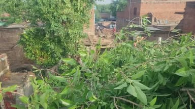 सहावर: बधारी कला गांव में तेज आंधी के दौरान टूटकर गिरी पाकड़ के पेड़ की डाली, टला हादसा, मकान क्षतिग्रस्त