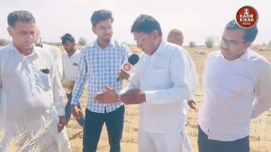 ओलावृष्टि के कारण किसानों की फसल हुई बर्बाद,स्थानीय नेताओं ने ली शुद्ध #ओलावृष्टि #नोहर Mangilal Nayak Kabir Kiran News ...