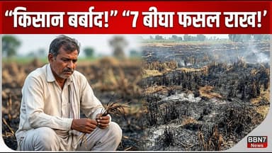 Breaking: गेहूं की खड़ी फसल में लगी आग, भारी नुकसान || #mahobanews #farmerloss #fireincident