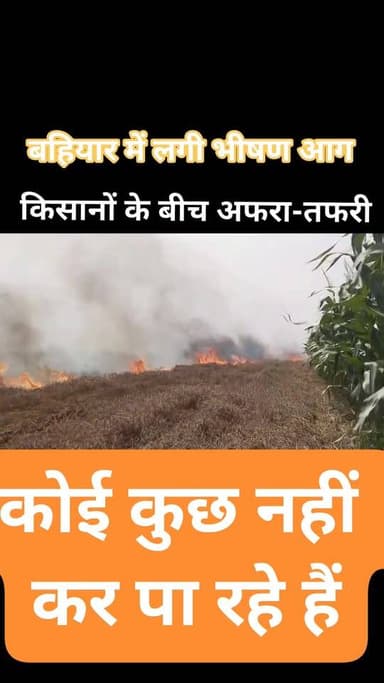 खगड़िया: परबत्ता प्रखंड के नयागांव बरबीघी दियारा में गेहूं खेत में लगी भीषण आग, कई बीघा खेत का गेहूं जल कर हुई राख, पछुव...