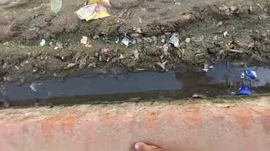 सेवढ़ा जिला दतिया
नगर पालिका परिषद कार्यालय में से कोई भी कर्मचारी देख रेख के लिए नहीं आता है बहुत परेशानी होती निकलने