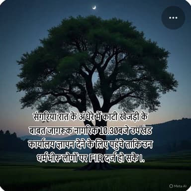 #संगरिया रात के अंधेरे में काटी खेजड़ी के बाबत जागरूक नागरिक 10.30बजे उपखंड कार्यालय ज्ञापन देने के लिए पहुंचे ताकि उन ध...