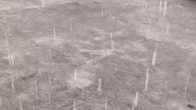 पलेरा: ओलावृष्टि से बराना गांव में फसलों को भारी नुकसान, अन्नदाता पस्त, किसानों के चेहरे पर छाई मायूसी