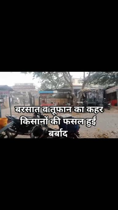 जनपद जालौन के माधौगढ़ तहसील क्षेत्र में तेज़ आंधी-तूफान के साथ हुई बारिश ने जमकर कहर बरपाया। कई इलाकों में ओलावृष्टि भी