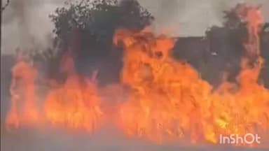 महाराजगंज: रजौड़ा कला में भीषण अग्निकांड, 15 एकड़ गेहूं की फसल जलकर हुई राख