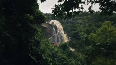 Jharkhand in monsoon = pure magic 🌿✨
#monsoon #rain #travelling #reels #jharkhand