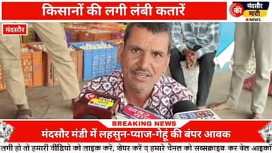#9 दिन बाद खुली मंदसौर कृषि उपज मंडी लहसुन प्याज गेहूं की हुई बंपर आवक