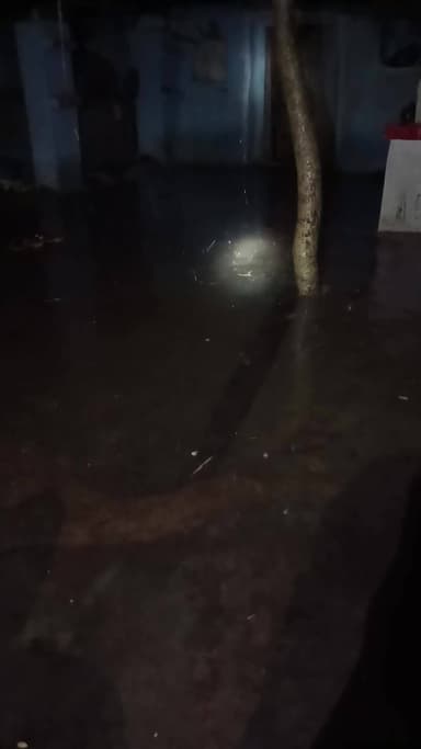 धरमपुर में 8:00 बजे गिरे ओले 4 अप्रैल 2025 किसने की फसल बर्बाद