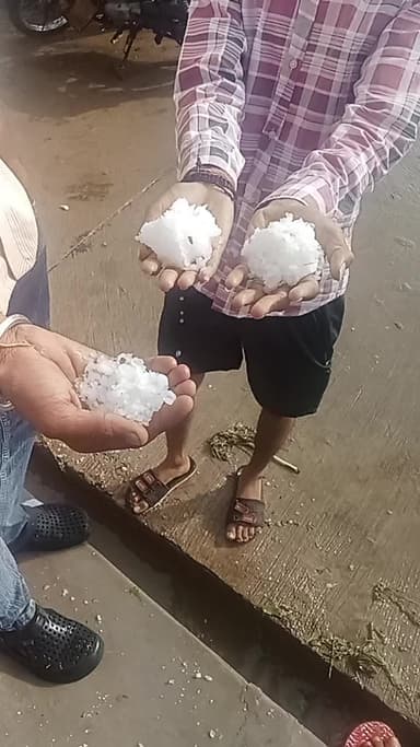 बागली मे कोटा जिले के पीपलदा तहसील से ओले गिरने से हुई फसलो मे तबाही