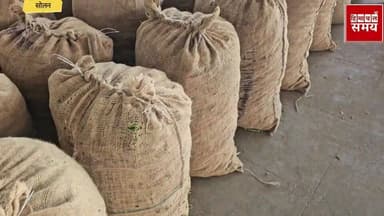 मटर के रेट में जबरदस्त इजाफा
हिमाचल समय - Himachal Samay Media #vikrmadityesingh #hpgovtjobs #solansubjimandi