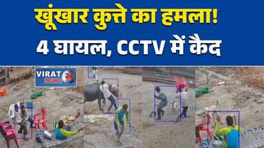 इंदौर के पास डॉग अटैक से दहशत, आवारा कुत्ते ने मचाया आतंक, #इंदौर
#महू
#DogAttack
#DogBite
#CCTVViral
#MPNews
#PublicSaf...