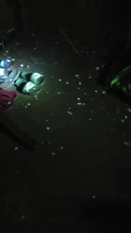 दतिया जिले के अंदर भारी मात्रा में ओरा गिरने से किसानों की फसल हुई बर्बाद