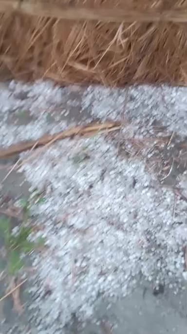 safipur me ola ki barsat