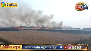 #बांका के रजौन में हाई वोल्टेज तार की चिंगारी से लगी भीषण आग, 150 बीघा #फसल जलकर राख.
#बिहार #bihar #बांका #BiharNews #B...
