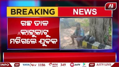 ଗଛ ଡାଳ କଟୁକଟୁ ଚାଲିଗଲା ଯୁବକଙ୍କ ଜୀବନ | MAYURBHANJ NEWS | @a1odisha