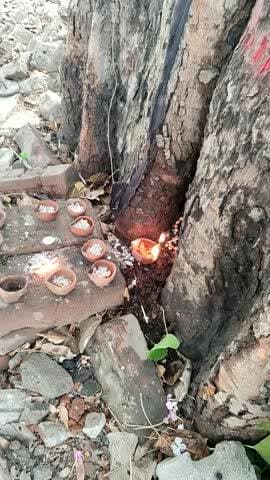 योगीपुर हिलसा नालन्दा, जय शनि देव महाराज,, 04/04/2026