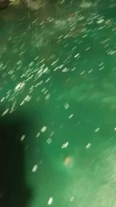 Bageshwar dham mai ole ki barish