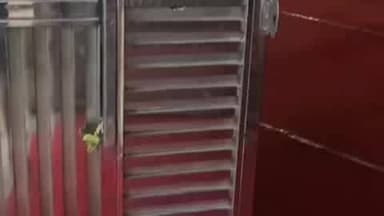 पंचकूला: बरवाला के खाटू श्याम मंदिर में चोरी, चोर पालकियों के ताले तोड़ डीवीआर भी ले गए