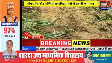#news बेमौसम आफत: ओलों से बिछी फसल, किसानों पर संकट #news7rajasthan #news7 #gudhachandraji #karauli