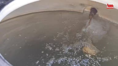 रेवाड़ी के नागरिक अस्पताल में मरीजों के स्वास्थ्य से खिलवाड़#मरीजों को पिलाया जा रहा गंदा पानी