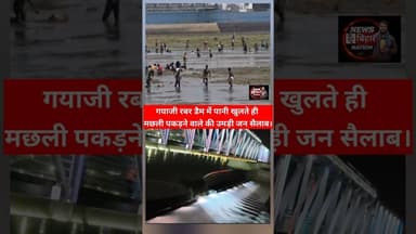 गयाजी रबड़ की डैम में काफी दिनों बाद पानी खुलते ही मछली पकड़ने वाले की उमड़ी जन सैलाब। #gayaji