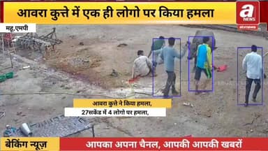 #मध्यप्रदेश की #महू तहसील के केवटी गांव में एक #आवारा #कुत्ते के हमले में एक ही परिवार के कम से कम चार लोग #घायल हो गए। ...