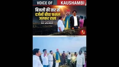 बिजली की तार से दर्जनों बीघा फसल जलकर राख #voiceofkaushambi #kaushambinews #uppcl #विद्युत
