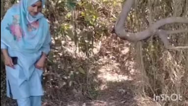 सोरांव: मऊआइमा थाना क्षेत्र के देवगलपुर में गाय को रस्सी से बांधकर मारने का आरोप, की गई शिकायत