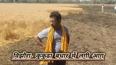 विझौरा- कुकुढ़ा बधार में आग लगने से गेंहू की खड़ी फसल जलकर हुआ राख।
#viralreelsシ #vitalreels #viralvideoシ #trendingreel ...