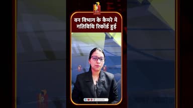 Flying Squirrel Recorded in Forest Camera, महुआ खाते दिखी दुर्लभ जीव गतिविधि #khabaralok #cgnews