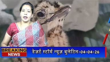 #desertstormnews nis:value=#desertstormnews nis:enabled=true nis:link/> #jaisalmernews #desertstorm एआई तकनीक से गोडावण संरक्षण में बड़ी सफलता: जैसलमेर में तीन चूजों का जन्म,...