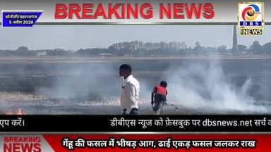 सोनौली। गेहूं की खड़ी फसल में भीषण आग, 2.5 एकड़ जलकर राख #महराजगंज #सोनौली #Sonauli #पुलिस #दमकल