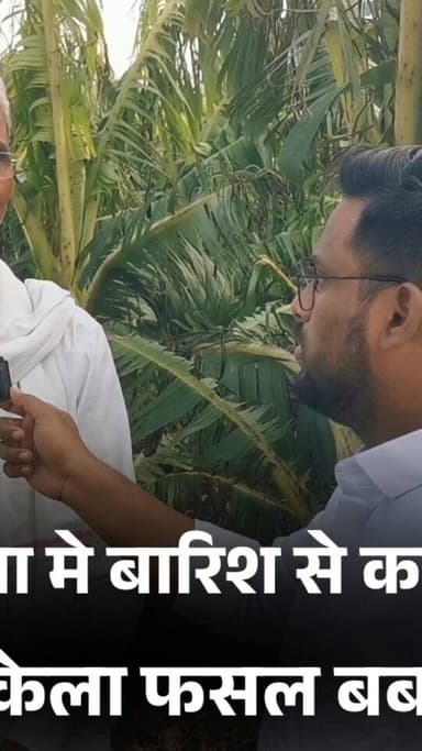 खामनी- भावसा मे बारिश से करीब 45 करोड़ की केला फसल बर्बाद?
#burhanpur #trending #newsupdate #burhanpurnews #viral