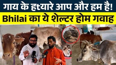 गाय के हtयारे आप और हम है! Bhilai का ये शेल्टर होम गवाह || KP NEWS || Seemant Kashyap
#news #bhilainews #kpnewsbhilai #...