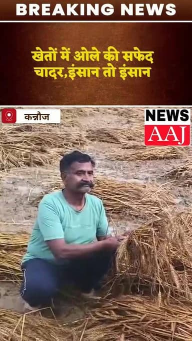 कन्नौज जनपद में भीषण चक्रवात और बेमौसम ओलावृष्टि ने तबाही का वो मंजर पेश किया जिसे देखकर हर किसी की आँखें नम हैं आसमान स...