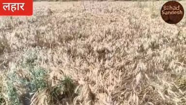 #भिंड में किसान के साथ यह क्या हाल हुआ ,,, एक बार जरूर देखे
#bhind #news #lahar #viral #video #न्यूज