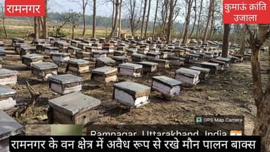 #रामनगर के वन क्षेत्रों में आजकल #मौन पालन के यह बाक्स जगह -जगह नजर आ रहे हैं, #जो कि बिना अनुमति के #अवैध रूप से रखे गए...