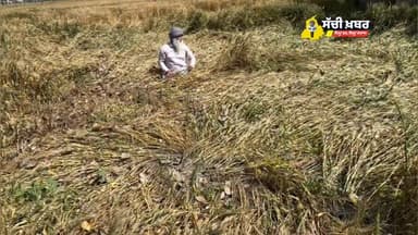 ਕਿਸਾਨ ਹੋਣਾ ਸੌਖਾ ਨਹੀ..
#kissan #punjabi #kisani