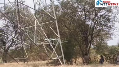 आखिर क्यों हाईटेंशन लाइन पर चढ़ा युवक, क्या है मामला देखें VIDEO #sihora #jabalpur #हाईटेंशन #लाइन #युवक #weenews