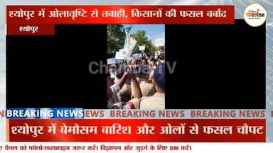 ओलावृष्टि से बर्बाद हुई फसल, मुआवजे की मांग पर सड़क पर अर्धनग्न बैठे विधायक और कांग्रेस नेता | ChambalTV
#BabuJandel #...